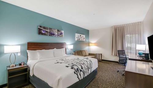 Standard Room, 1 King Bed with Sofa bed, Non Smoking