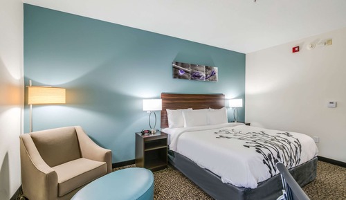 Room, 1 King Bed, Accessible, Non Smoking