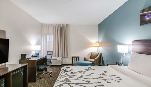 Standard Room, 1 King Bed, Non Smoking