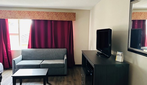 Standard Room, 1 King Bed with Sofa bed, Non Smoking