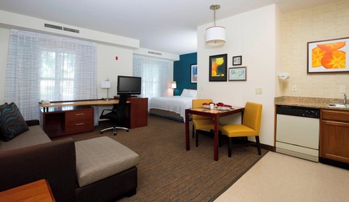 Studio, 1 King Bed with Sofa bed