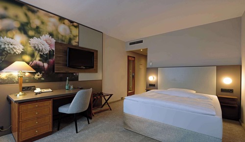 Standard Room, 1 Queen Bed