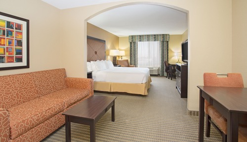 Suite, 1 King Bed with Sofa bed