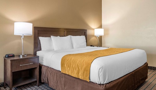 Room, 1 King Bed, Non Smoking