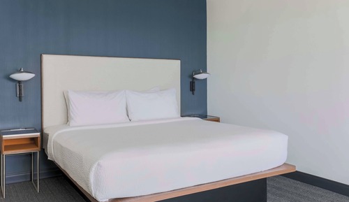 Room, 1 King Bed with Sofa bed (Hearing Accessible)