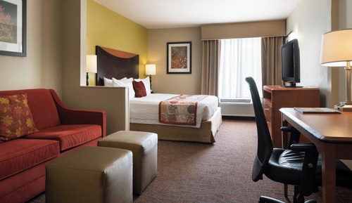 Room, 1 King Bed with Sofa bed, Non Smoking
