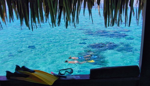 Luxury Room, 1 King Bed, Overwater