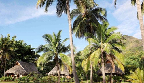Luxury Bungalow, 1 King Bed, Garden View