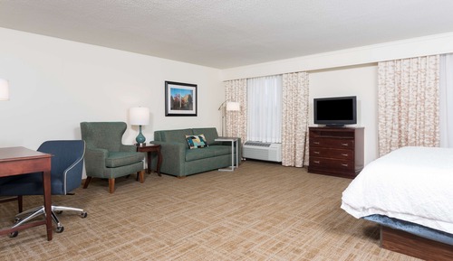 Studio Suite, 1 King Bed with Sofa bed