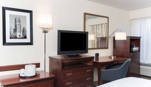 Room, 1 King Bed with Sofa bed, Refrigerator