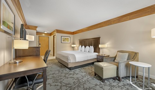 Standard Room, 1 King Bed, Non Smoking, Refrigerator & Microwave