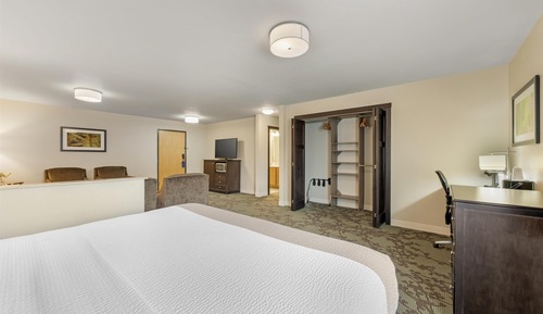 Junior Suite, 1 King Bed, Non Smoking, Refrigerator & Microwave