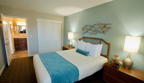 Room, 1 Bedroom (Interior)