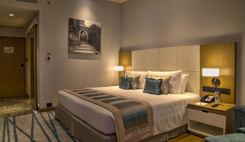 Executive Room, 1 King Bed