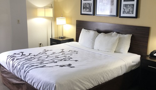 Standard Room, 1 King Bed, Non Smoking