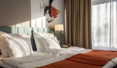 Superior Room (Plus)