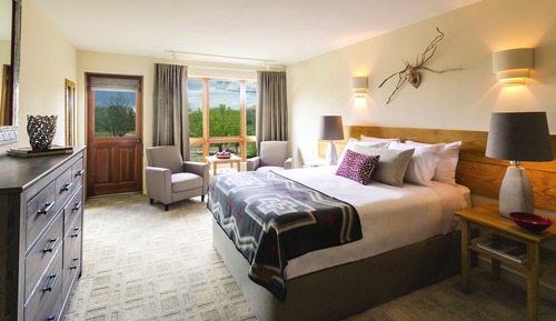Traditional Room, 1 King Bed (Garden)