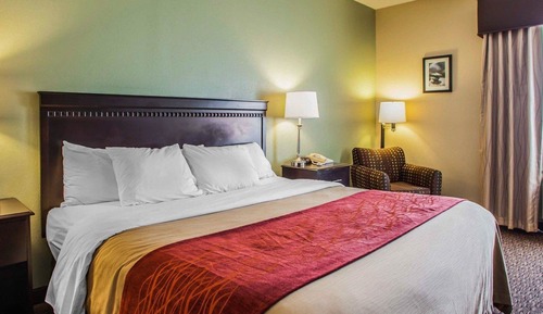 Room, 1 King Bed