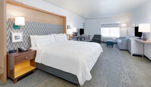 Standard Room, 1 King Bed with Sofa bed