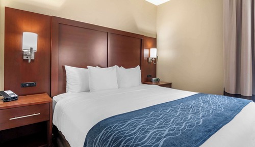 Suite, 1 King Bed with Sofa bed, Non Smoking