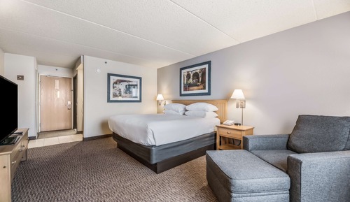 Room, 1 King Bed
