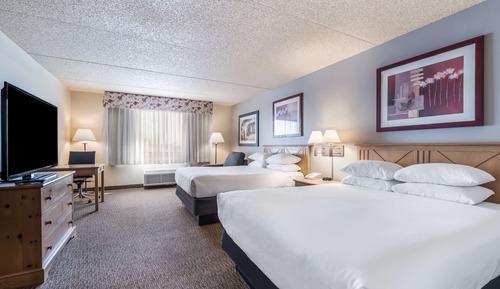 Executive Room, 2 Queen Beds