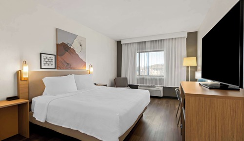 Room, 1 King Bed, Accessible (Roll-In Shower)