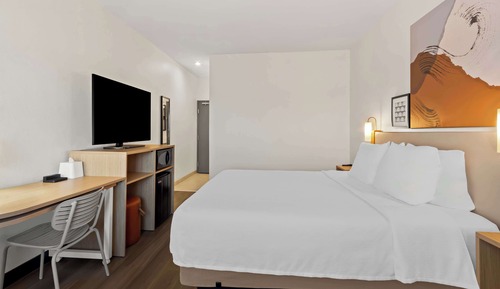 Room, 1 King Bed