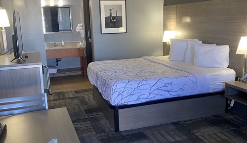 Suite, 1 Bedroom