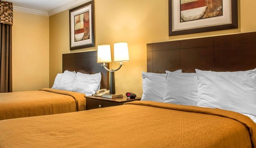 Standard Room, 2 Double Beds