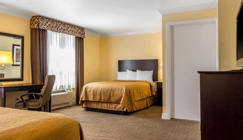 Standard Room, 1 King Bed, Non Smoking