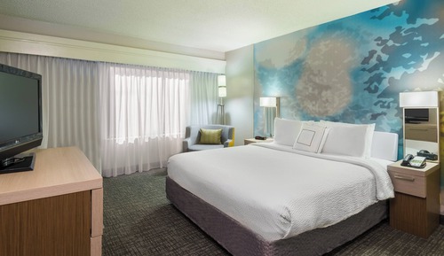 Suite, 1 King Bed with Sofa bed