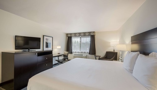 Standard Room, 1 King Bed, Accessible, Non Smoking