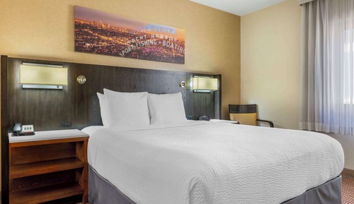 Standard Room, 1 Queen Bed, Non Smoking, Refrigerator & Microwave (Pet Friendly)