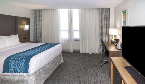 Room, 1 King Bed, Non Smoking