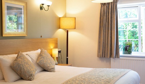 Double Room (Large)