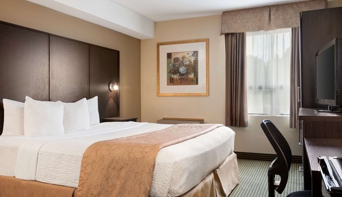 Room, 1 King Bed, Non Smoking