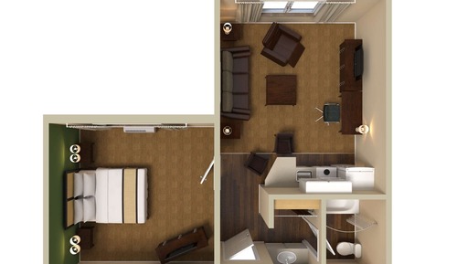 Suite, 1 King Bed with Sofa bed, Non Smoking