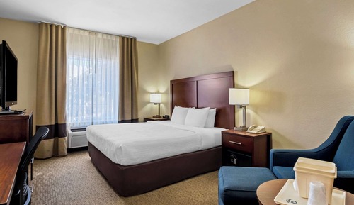 Suite, 1 King Bed with Sofa bed, Accessible, Non Smoking