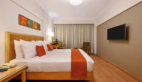 Deluxe Room + Buffet Breakfast + 20% on Food and Soft beverages + Wi-Fi