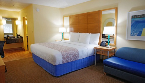 Room, 1 King Bed