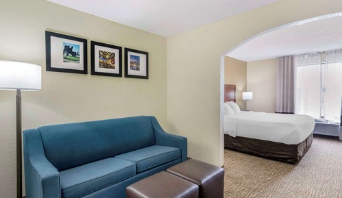 Suite, 1 King Bed, Accessible, Non Smoking