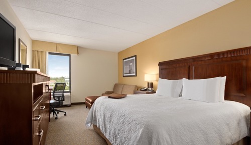 Room, 1 King Bed with Sofa bed
