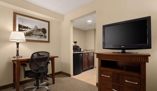 Suite, 1 King Bed with Sofa bed