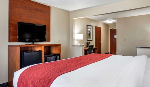 Standard Room, 1 King Bed, Non Smoking