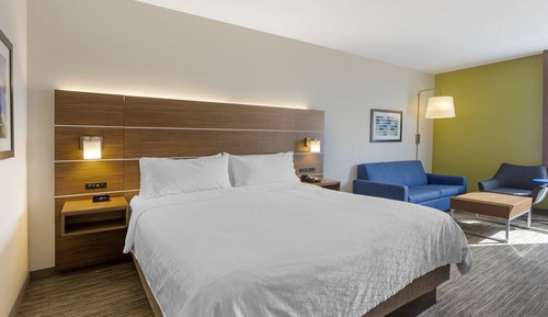 Suite, 1 King Bed with Sofa bed