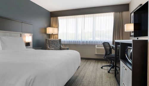 Standard Room, 1 King Bed, Refrigerator & Microwave, Lake View (Pet Friendly)
