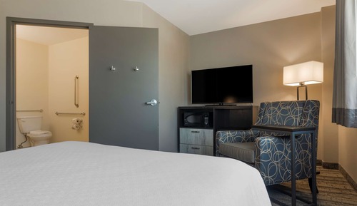 Standard Room, 1 Queen Bed, Accessible, Refrigerator (Refrigerator)