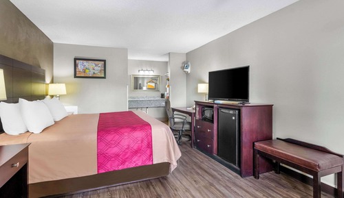 Standard Room, 1 King Bed, Non Smoking