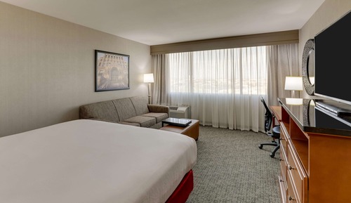Deluxe Room, 1 King Bed with Sofa bed, Refrigerator & Microwave